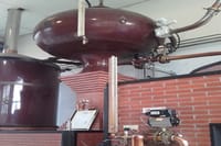 Distillery pot for Calvados