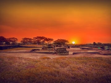 Nal Sarovar Bird Sanctuary and Lothal Tour from Ahmedabad