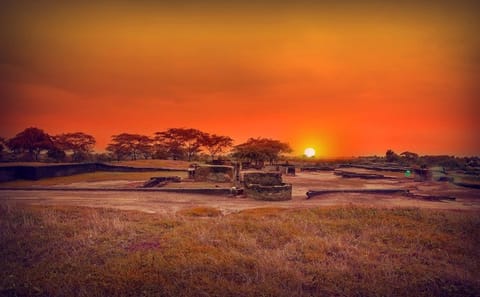 Nal Sarovar Bird Sanctuary and Lothal Tour from Ahmedabad