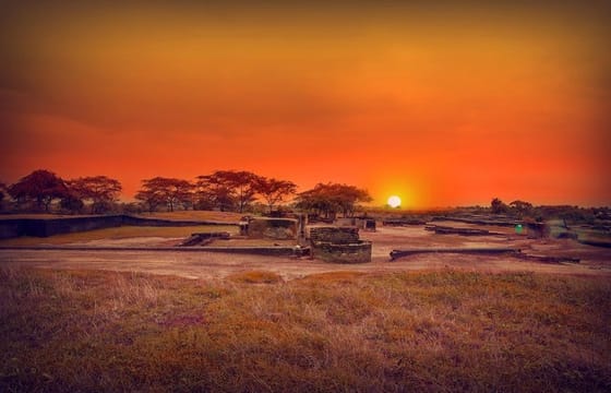 Nal Sarovar Bird Sanctuary & Lothal Day Tour from Ahmedabad