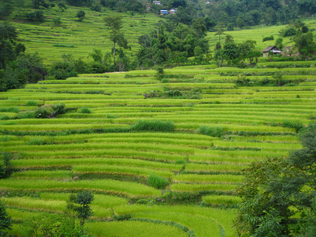 19 Days Mera Peak Climbing & Expedition – One Life-Changing Himalayan Adventure