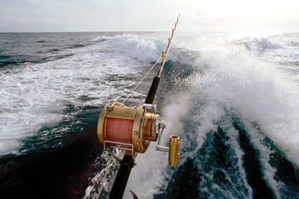 Deep Sea Fishing Tour