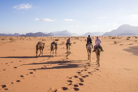 Best of Jordan Tour: Explore Jerash, Petra, Dead Sea & Wadi Rum