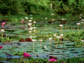 Explore Sri Lanka's Nature and Adventure in 8 Days