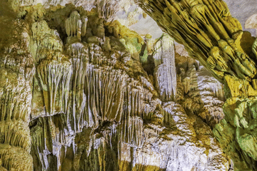 Phong Nha Cave and Mooc Spring Day Tour from Dong Hoi