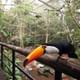 Bird Park
