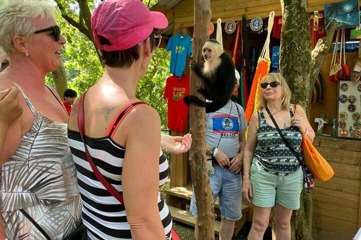 SHORE EXCURSION: Snorkeling By boat and Wildlife Encounter