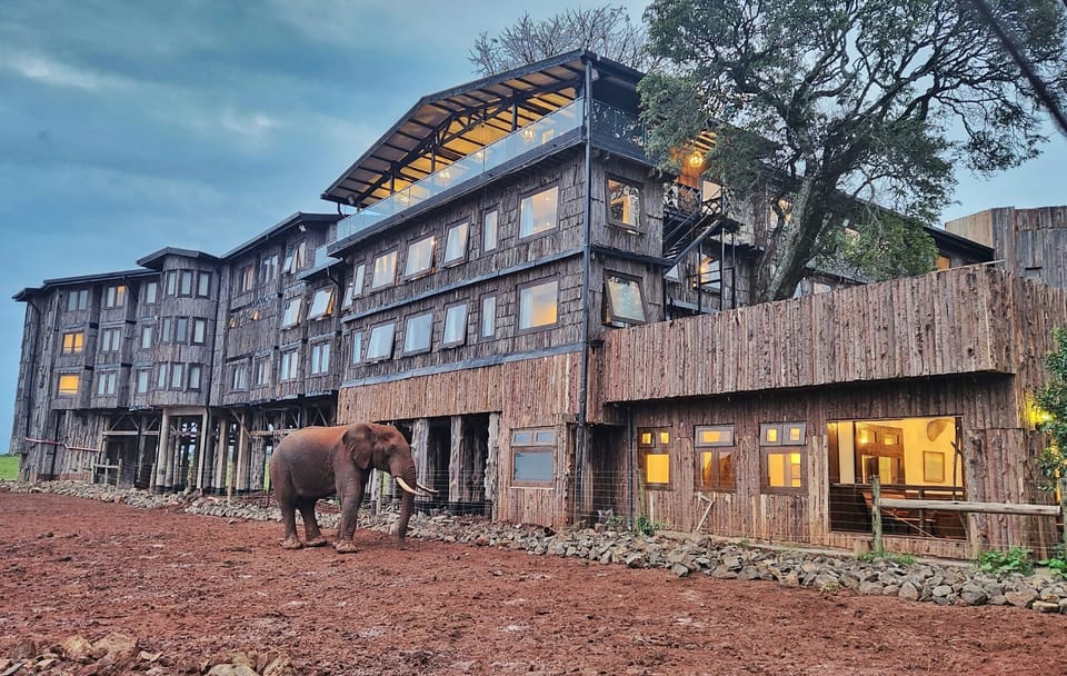 15-Day Safari and Beach Adventure in Kenya