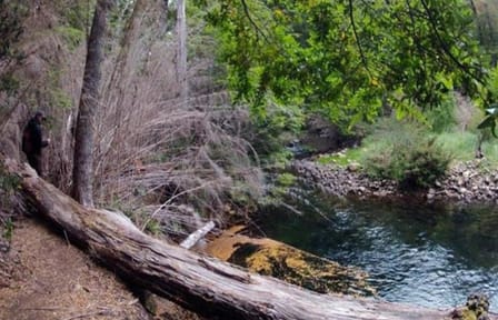 Bella Vista Trekking Tour with Transport from Bariloche