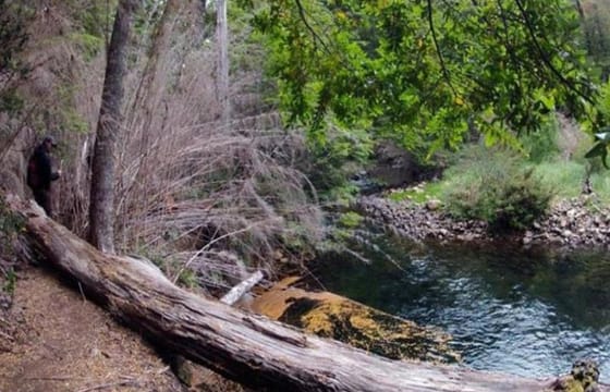 Bella Vista Trekking Tour with Transport from Bariloche