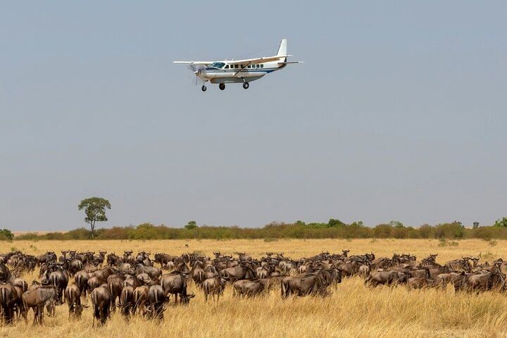 2-Day Mara Fly In Safari