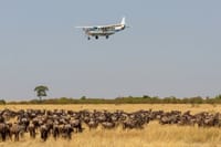 2-Day Mara Fly In Safari 2