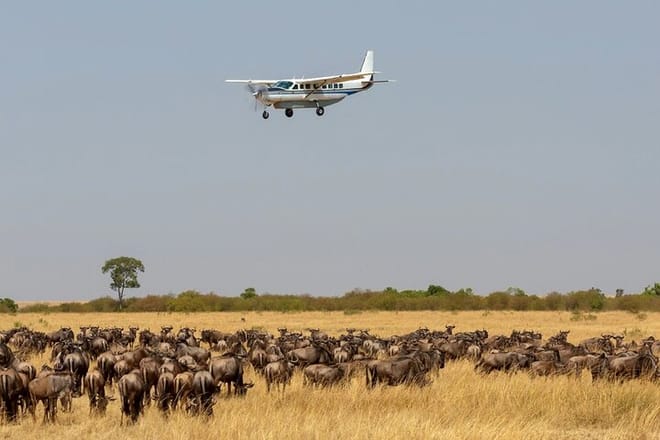 2-Day Mara Fly In Safari 2