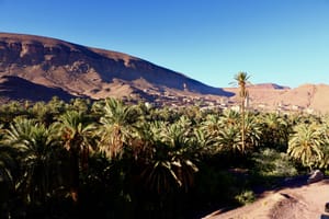 Private Full-Day Tour of Ouarzazate and Oasis Fint