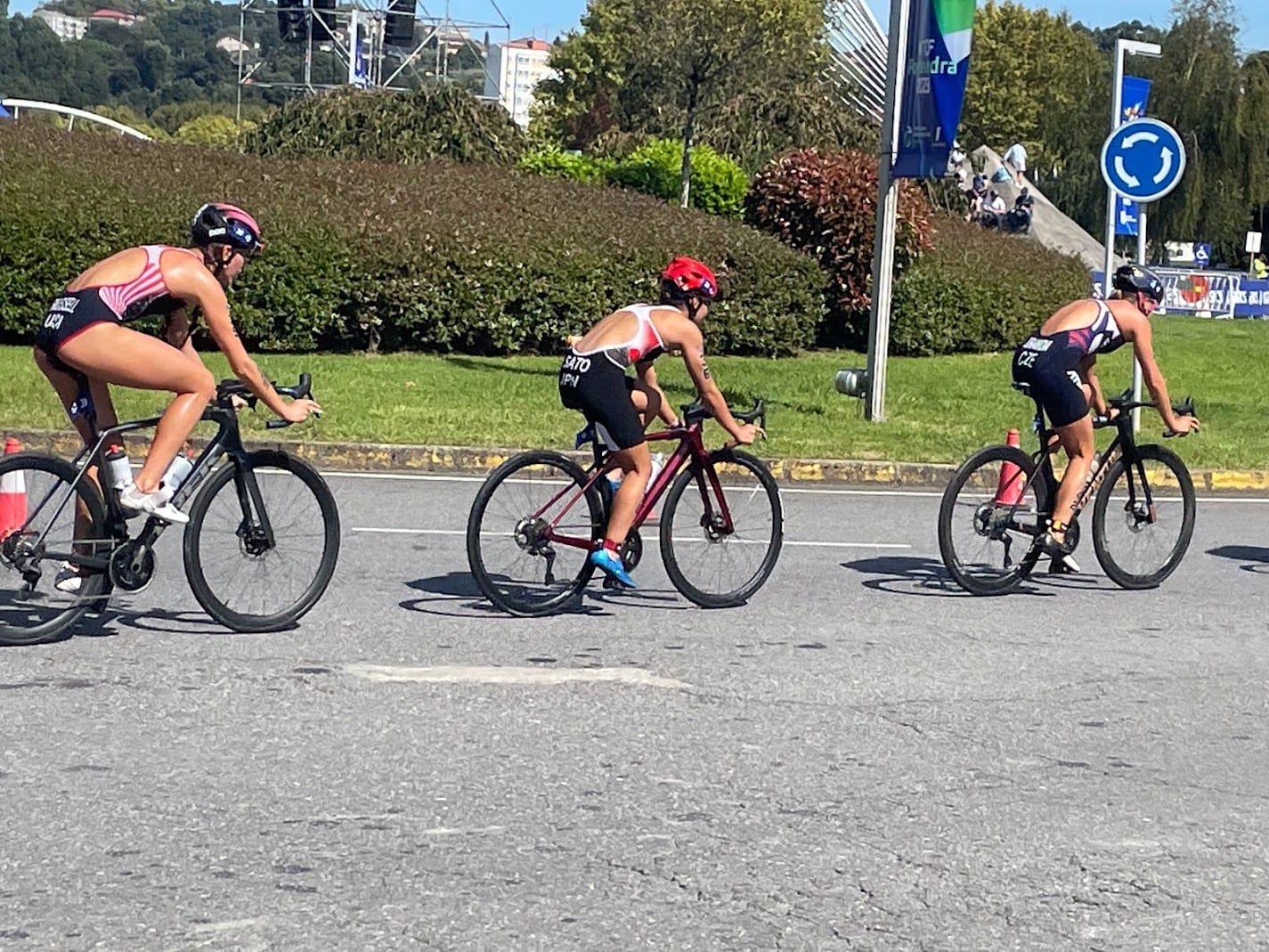 �|���e�؃h���̕��i