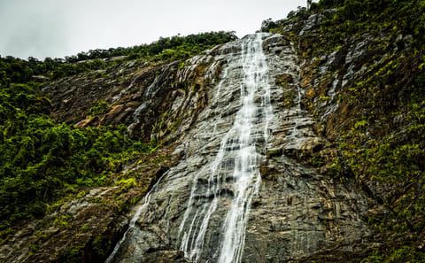 Bach Ma National Park Trek and Beach Day in Da Nang