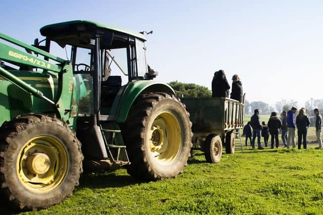 Visit to a Cattle Ranch of Toros Bravos in Seville photo 4