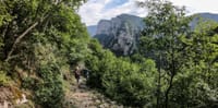 1 Day Vikos Gorge Crossing 7