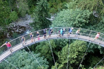 Vancouver Perfect Day Tour Grouse Mountain`& Capilano Suspention Bridge Private