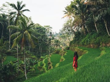Bali Highlights : Nature, Waterfall, Rice Terraces and Volcano