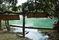 Thailand’s Last Lowland Rainforest – A Hidden Gem Tour 1