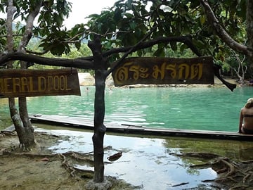 Thung Theo Forest Natural Park Full-Day Guided Tour