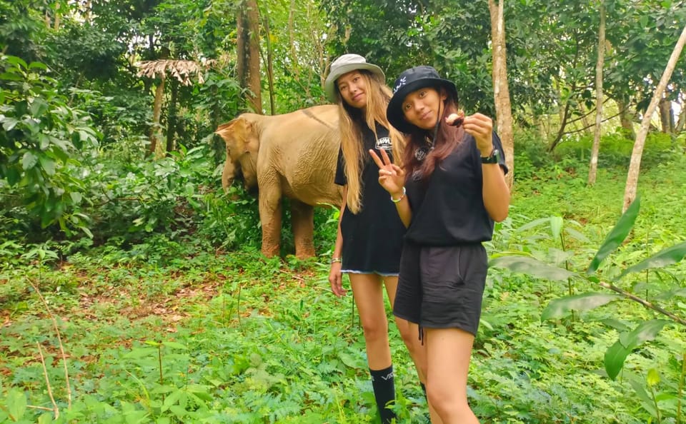 From Phuket to Ethical Khaolak Elephant Sanctuary Tour, Walk, and Lunch