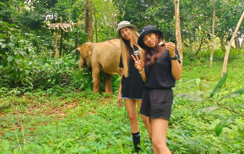 From Phuket to Ethical Khaolak Elephant Sanctuary Tour, Walk, and Lunch