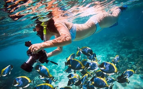 Private Boat Trip for Diving and Snorkeling from Hurghada