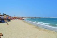 Private Abu Dabbab Snorkeling with Turtles &amp; Transfer - Hurghada