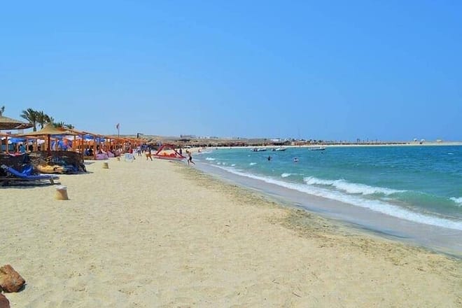 Private Abu Dabbab Snorkeling with Turtles &amp; Transfer - Hurghada