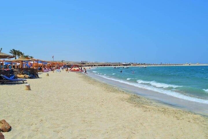 Private Abu Dabbab Snorkeling with Turtles &amp; Transfer - Hurghada