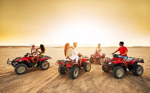 ATV Desert Safari and Camel Ride in Marsa Alam, Egypt