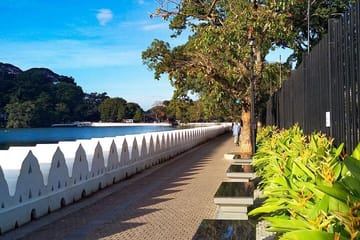 Private Day Tour of Kandy's Cultural Highlights from Colombo