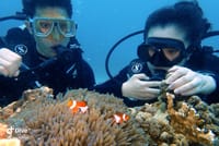 DiveGurus - SSI Scuba Diving for Beginners in Boracay 7