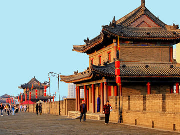 Terra-cotta Warriors and Giant Panda 3 Days 2 Nights Trip