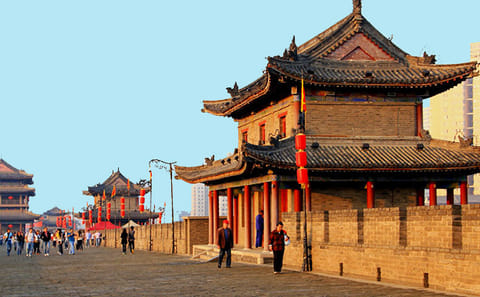 Terra-cotta Warriors and Giant Panda 3 Days 2 Nights Trip
