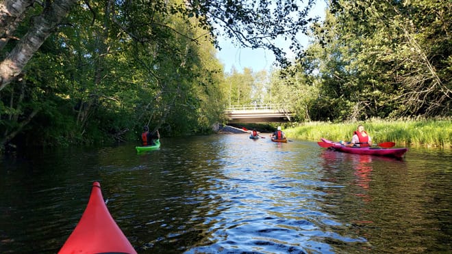 Oulu Delta Kayaking Safari in Finland