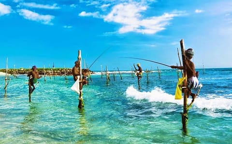 2 Days Tour to Galle & Udawalawe National Park