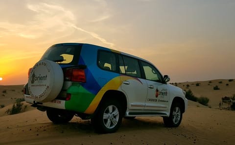 Private 4x4 Sunrise Wildlife Tour in Dubai Desert