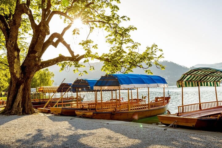 Discover Bled, Slovenia's Alpine Pearl: A Guided Tour from Ljubljana