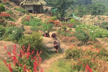 Wat Doi Suthep & Meo (Hmong) Hilltribe