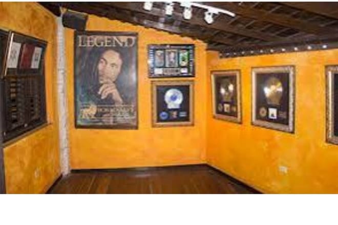 Bob Marley Birthplace 9 Mile Guided Tour  9