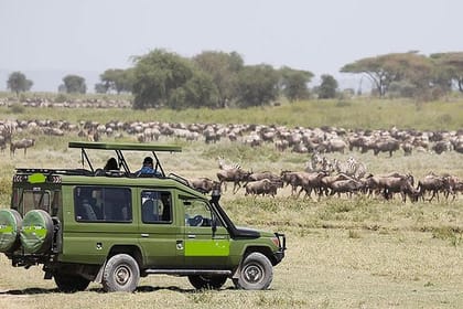 2Days Lake Manyara and Ngorongoro Crater Camping Safari