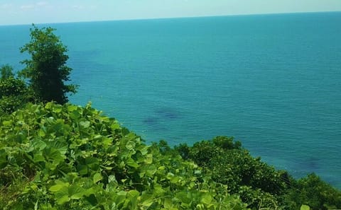 Four-Day Bus Tour of Batumi and Borjomi in Adjara, Georgia