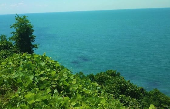 Discover Adjara: Sea, Mountains & Georgian Charm