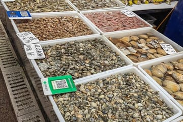 Qingdao Local Market Tour with Seafood Feast and Beer Tasting