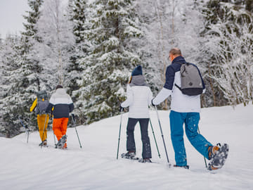 Snowshoe Hiking Tour in Oslo's Winter Landscape