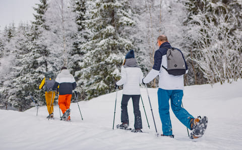 Snowshoe Hiking Tour in Oslo's Winter Landscape