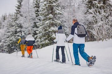 Snowshoe Hiking Tour in Oslo's Winter Landscape